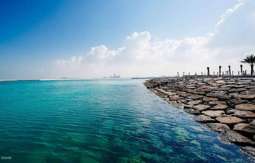 Day Tour to West Bank of Luxor