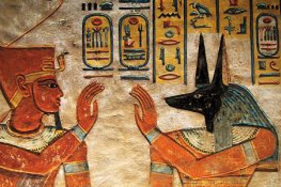 Day Tour to West Bank of Luxor